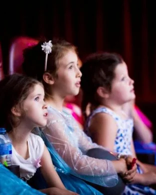 Shrek The Musical Jr.