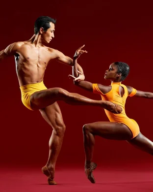 Burn the Floor: Maks & Peta Live